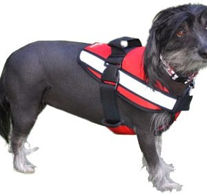 Supa Body Harness