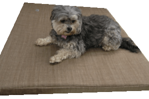 Kennel Mattress